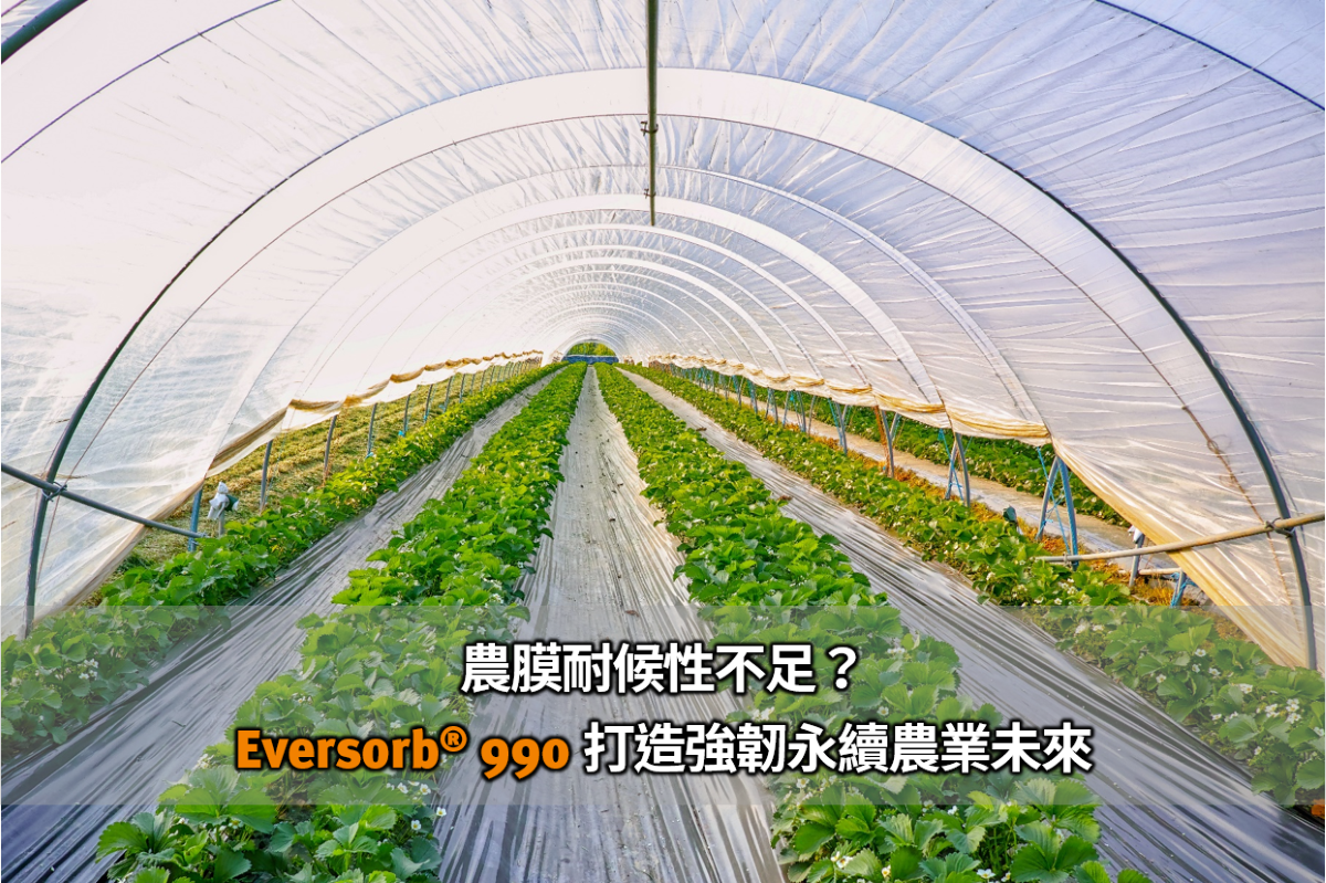 農膜耐候性不足？Eversorb 990 打造強韌永續的農業未來